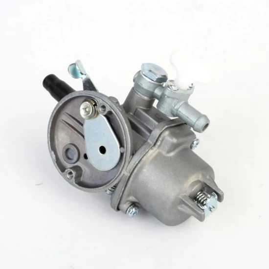 Karburátor pro benzínový motorový postřikovač otvor 20mm 10694