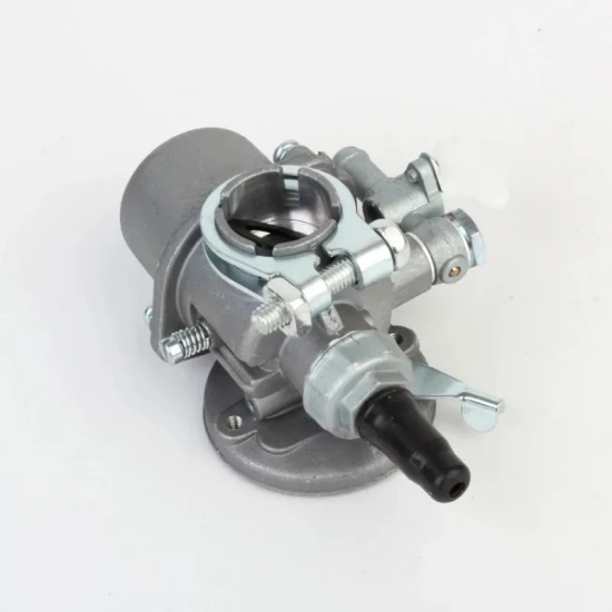 Karburátor pro benzínový motorový postřikovač otvor 20mm 10694