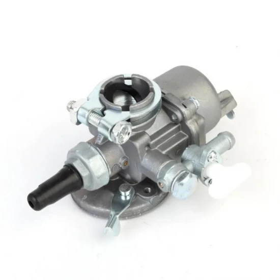 Karburátor pro benzínový motorový postřikovač otvor 20mm 10694
