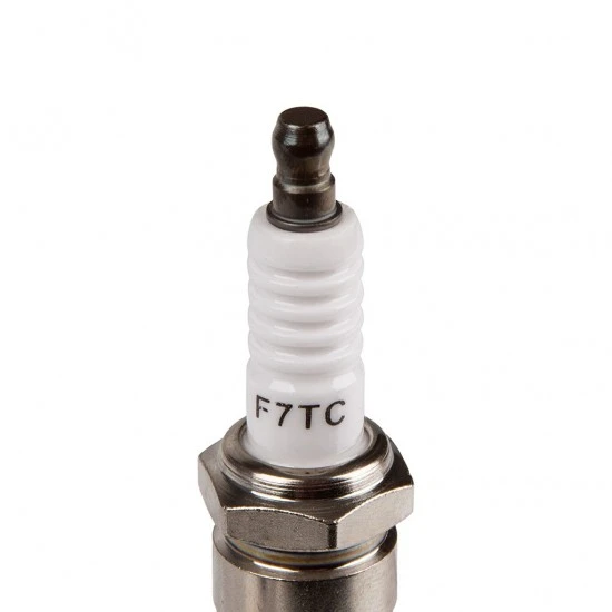 Zapalovací svíčka pro motor 6.5 HP M798958