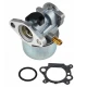Karburátor pro motory Briggs&Stratton quantum 625 650 675 10-01017