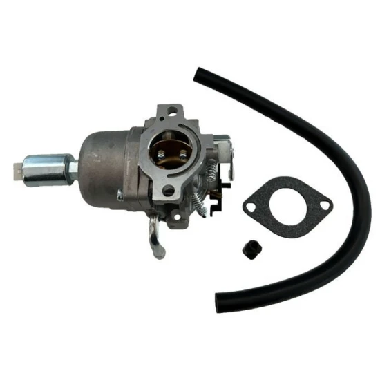 Karburátor Briggs & Stratton 591731 594593 794572 796109 10-01018