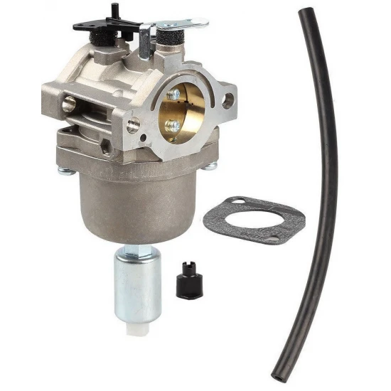 Karburátor Briggs & Stratton 591731 594593 794572 796109 10-01018