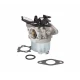 Karburátor Briggs & Stratton série 700 750 DOV 10-01022