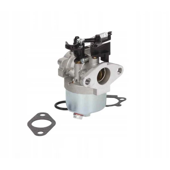 Karburátor Briggs & Stratton série 700 750 DOV 10-01022