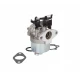Karburátor Briggs & Stratton série 700 750 DOV 10-01022