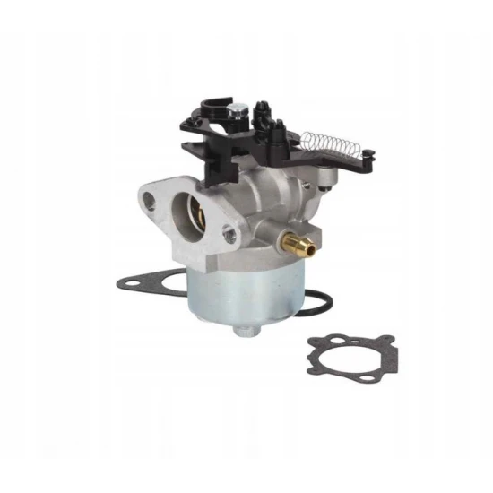 Karburátor Briggs & Stratton série 700 750 DOV 10-01022